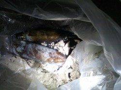 アジュール舞子でエギング、苦戦しましたが、なんとか2杯