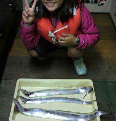 岸和田一文字　キビナゴのエサでタチウオ〜90cm