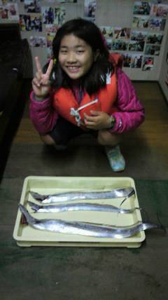 岸和田一文字　キビナゴのエサでタチウオ〜9…