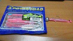 東二見サビキでアジ、ワームでエソ