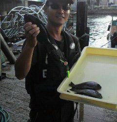 沖一文字北で24.5センチ迄をフカセ釣りで