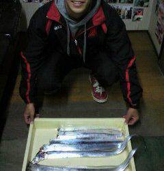 岸和田一文字　ウキ釣りでタチウオの釣果