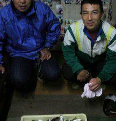 岸和田一文字　サビキのアジも好調