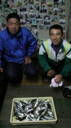 岸和田一文字　サビキのアジも好調