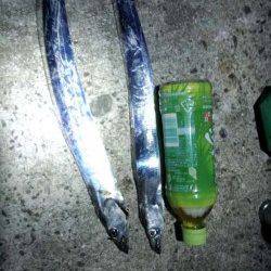 西宮浜 ウキ釣りでタチウオ狙いで釣行☆ 南芦屋浜は数百名の釣り人