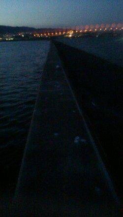 西宮浜でワインド、当たってきても型は指２本半でした