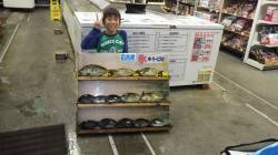 みなべの磯でアイゴ・グレの釣果