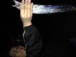 汐見埠頭　夕方6時からのタチウオ狙い　2人で10匹の釣果