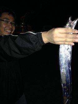 汐見埠頭　夕方6時からのタチウオ狙い　2人で10匹の釣果