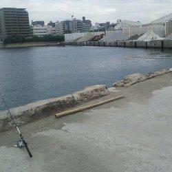 明石港湾内での投げ釣りで今年初のカレイ♪