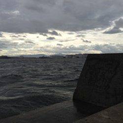 【じょじょに風が出てきました】大阪南港でのサビキ釣り