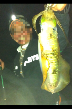 伊根でエギング　粘り続けて見れたアオリイカ！！