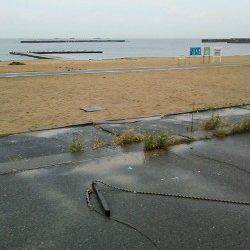 須磨　投げ釣りでのカレイ釣り　33cmはエギングロッドにヒット！