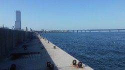 泉佐野　ショアジギングでツバス！タチウオは撃沈