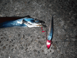 スローワインドでフォール中にＨＩＴ♪