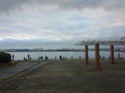 花市公園前にて５時よりサビキスタート、６時過ぎから時合に突入