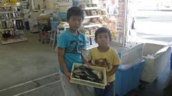 一本松堤防でお子様が多魚種ＧＥＴ！！