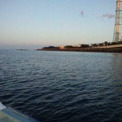 南塩谷、渡船利用でフカセ釣り、グレ・アイゴの釣果