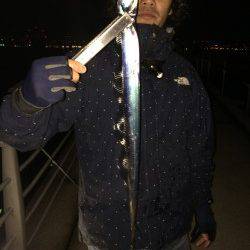 大阪南港、ブラクリ＆ワインド釣果