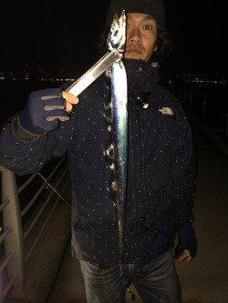 大阪南港、ブラクリ＆ワインド釣果