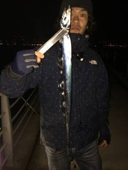 大阪南港、ブラクリ＆ワインド釣果