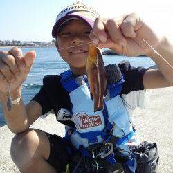 東二見人工島　胴突きでカワハギ18～20㎝2匹☆