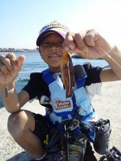 東二見人工島　胴突きでカワハギ18～20㎝2匹☆