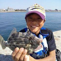 東二見人工島　胴突きでカワハギ18～20㎝2匹☆