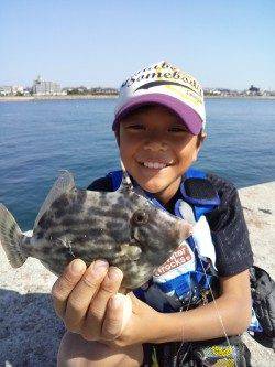 東二見人工島　胴突きでカワハギ18～20㎝2匹☆