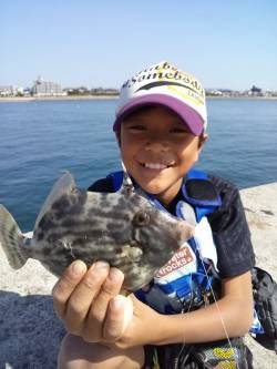 東二見人工島　胴突きでカワハギ18～20㎝…