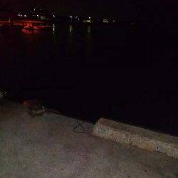 東二見　エギング釣行も上がってきたのはキロクラスのマダコ