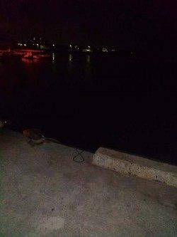 東二見　エギング釣行も上がってきたのはキロクラスのマダコ