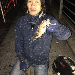 大阪南港、ブラクリ＆ワインド釣果