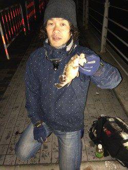 大阪南港、ブラクリ＆ワインド釣果