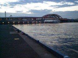 神戸港三突16cmほどのアジをゲット