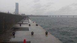 鉄板ルアーで快釣！佐野漁港でルアー釣り、ツバス&タチウオ