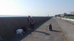 東二見人工島の東向き、投げ釣りでマコガレイＧＥＴ