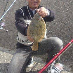 東二見人工島の東向き、投げ釣りでマコガレイＧＥＴ