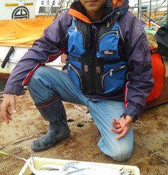 岸和田一文字　タチウオの他グレも楽しめる