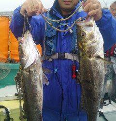 エビ撒き釣りでスズキ68cm！旧の白灯台他