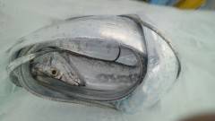 沖のカーブ、ルアーでハマチ&タチウ…