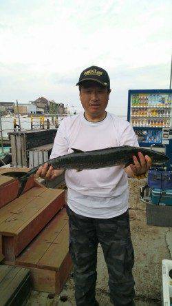 岸和田一文字　のませでツバス＆サワラ80cm