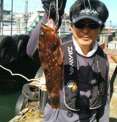 旧の赤灯台・沖の一文字でアコウあがってます