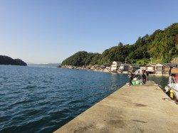 伊根エリア　エギング朝間詰め勝負