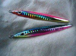 貝塚、最近はルアーへの反応が悪い・・・