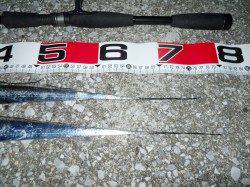 前島波止でタチウオ釣り、今季初ゲット！