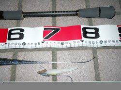 りんくうで夕まづめのタチウオワインド