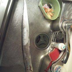 大阪南港　色々テストをしながらのワインドでタチウオ狙い