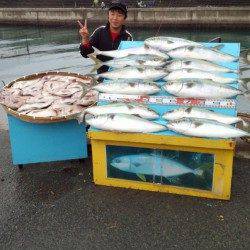 マリーナシティ海洋釣り堀　ブリにマダイに絶好調！