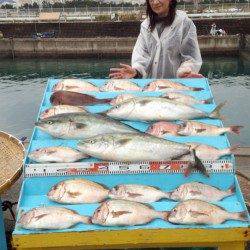 マリーナシティ海洋釣り堀　ブリにマダイに絶好調！